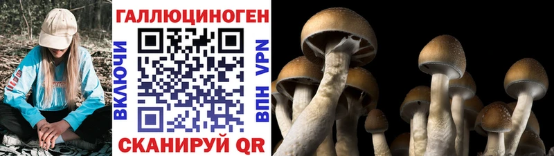 Псилоцибиновые грибы Magic Shrooms hydra сайт Эртиль