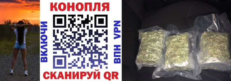 Бошки Шишки семена Эртиль